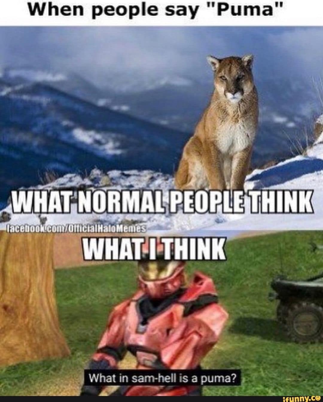 rooster teeth memes, rooster teeth shutdown, red vs blue memes, RWBY memes