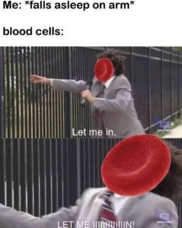 Me: *falls asleep on arm* blood cells: Let me in. LET ME LINOIIN!