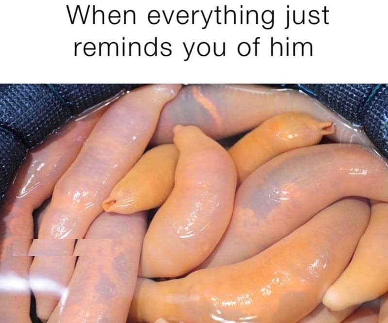 sexy memes, dirty memes, flirty memes, spicy memes, eductive memes, provocative memes, sensual memes, naughty memes