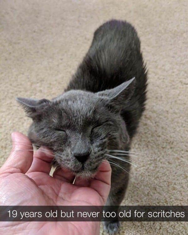 19 years old but never too old for scritches