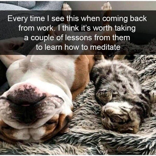 Every time I see this when coming back from work. I think it's worth taking a couple of lessons from them to learn how to meditate