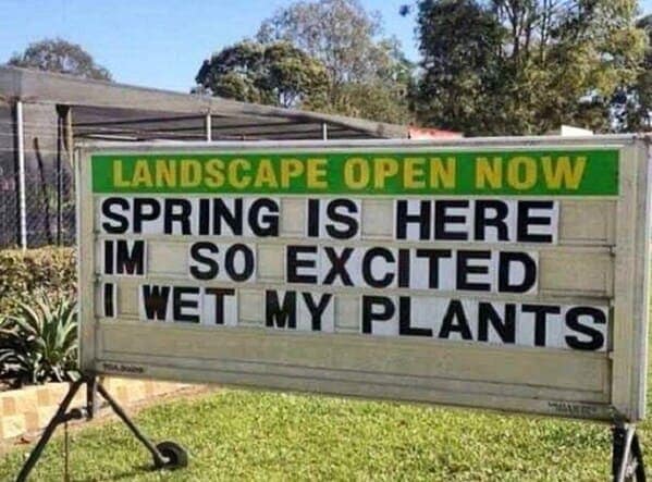 SPRING IS HERE IM SO EXCITED I WET MY PLANTS