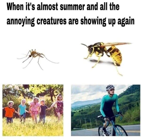 When it's almost summer and all the annoying creatures are showing up again