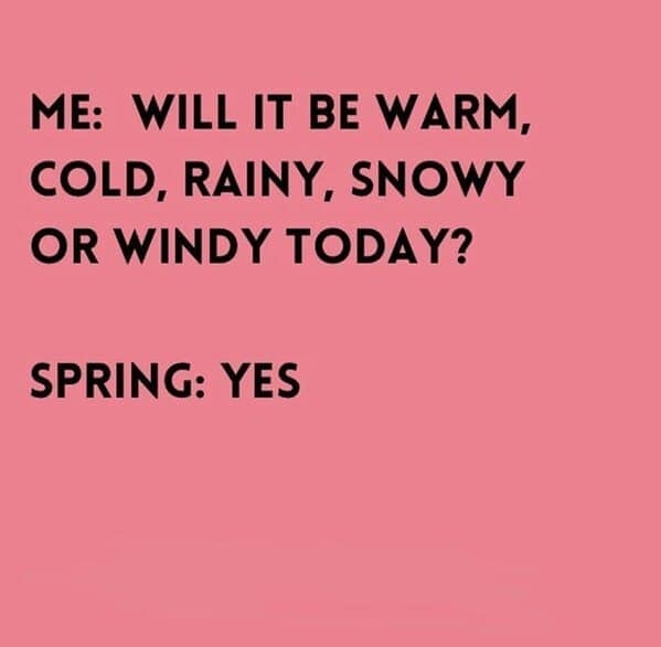ME: WILL IT BE WARM, COLD, RAINY, SNOWY OR WINDY TODAY? SPRING: YES