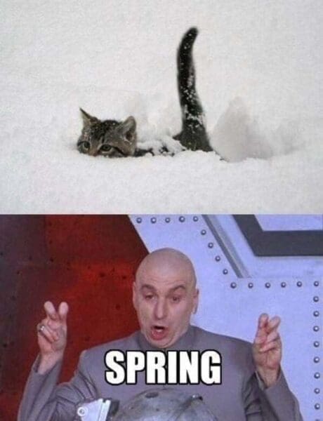 43 Spring Memes to Cure Your Winter Woes (Maybe Not Your Allergies)