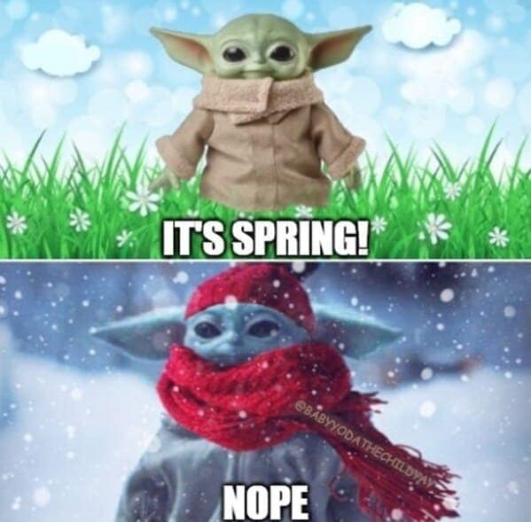 IT'S SPRING! NOPE