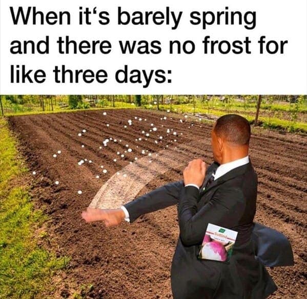 When it's barely spring and there was no frost for like three days: