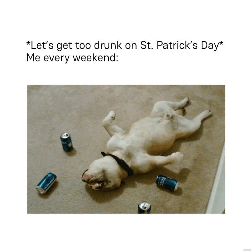 st patricks day memes, st paddy's memes, festive memes