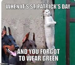 st patricks day memes, st paddy's memes, festive memes