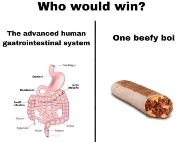 Who would win? The advanced human gastrointestinal system One beefy