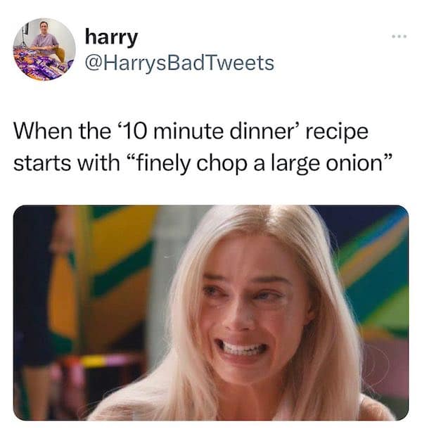 When the 10 minute dinner' recipe starts with "finely chop a large onion"