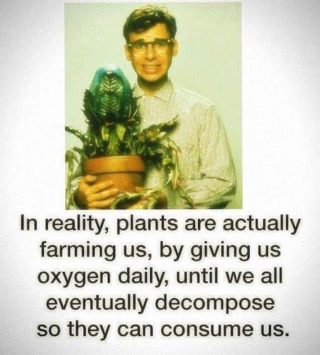 In reality, plants are actually farming us, by giving us oxygen daily, until we all eventually decompose so they can consume us.