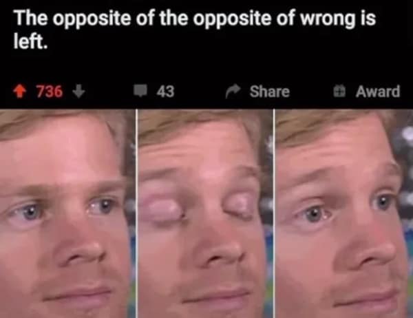 technically correct memes, pedantic jokes, precision humor, accuracy memes, exactitude memes, meticulous humor, nitpicky laughs