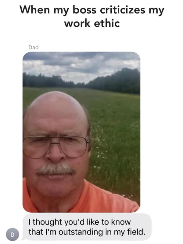 technically correct memes, pedantic jokes, precision humor, accuracy memes, exactitude memes, meticulous humor, nitpicky laughs