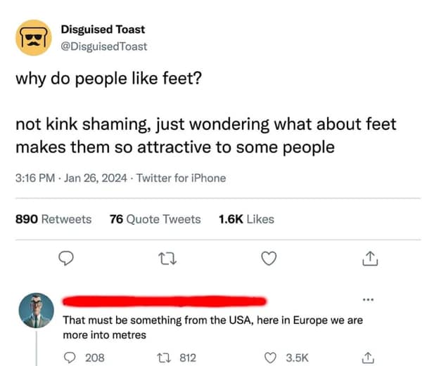 technically correct memes, pedantic jokes, precision humor, accuracy memes, exactitude memes, meticulous humor, nitpicky laughs