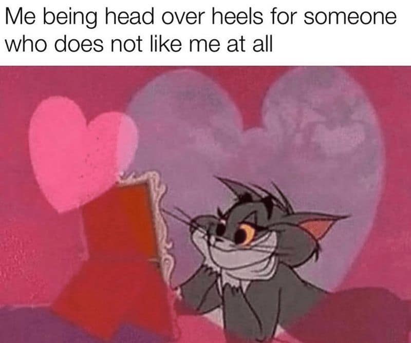 Me being head over heels for someone who does not like me at all