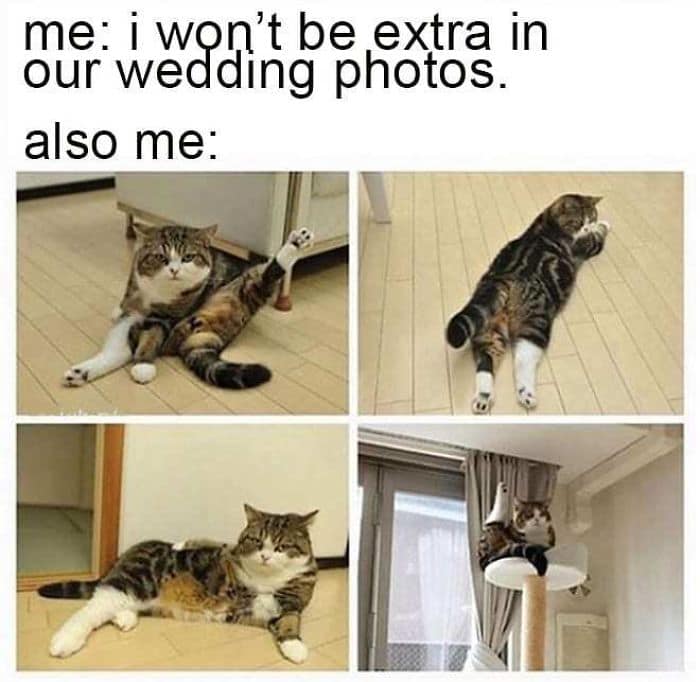 me: i won't be extra in our wedding photos. also me: