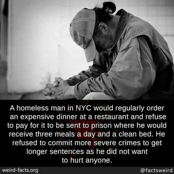 weird facts, random facts, fact of the day, random oddities, bizarre trivia, peculiar tidbits, unusual anecdotes