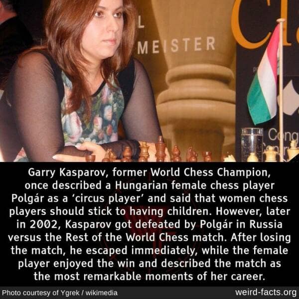 weird facts, random facts, fact of the day, random oddities, bizarre trivia, peculiar tidbits, unusual anecdotes