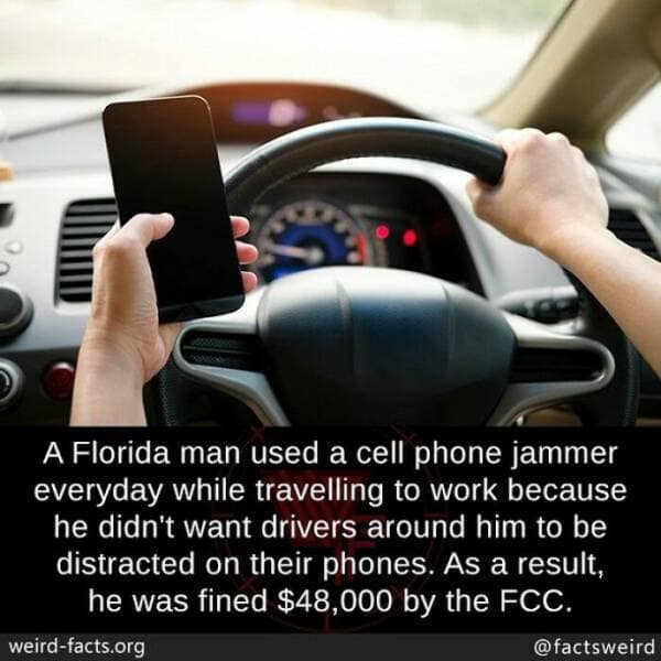 weird facts, random facts, fact of the day, random oddities, bizarre trivia, peculiar tidbits, unusual anecdotes