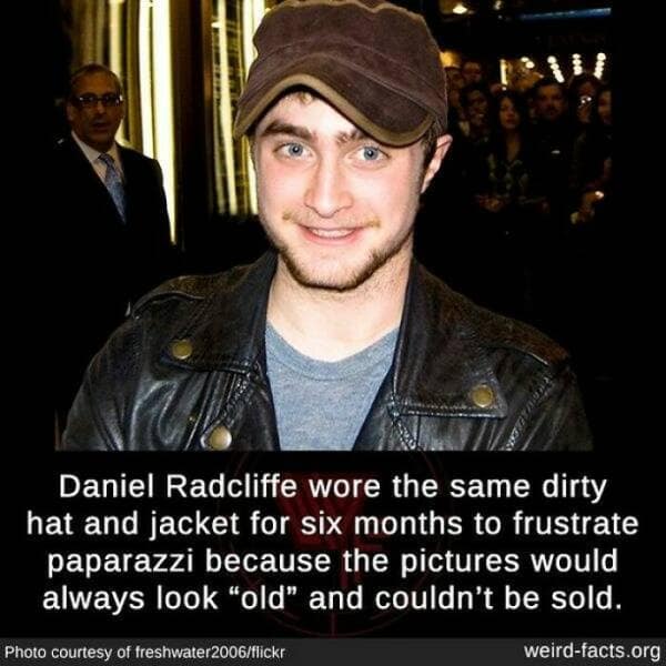 weird facts, random facts, fact of the day, random oddities, bizarre trivia, peculiar tidbits, unusual anecdotes