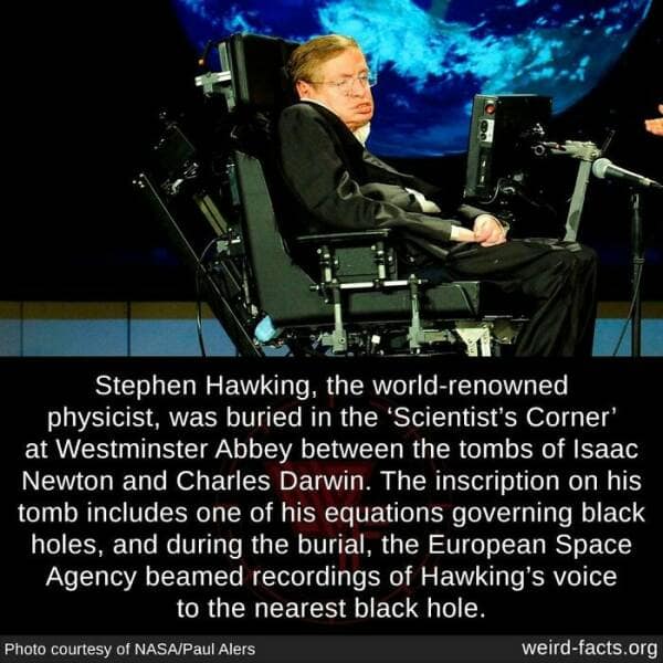 weird facts, random facts, fact of the day, random oddities, bizarre trivia, peculiar tidbits, unusual anecdotes