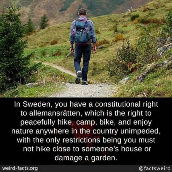 weird facts, random facts, fact of the day, random oddities, bizarre trivia, peculiar tidbits, unusual anecdotes