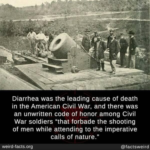 weird facts, random facts, fact of the day, random oddities, bizarre trivia, peculiar tidbits, unusual anecdotes