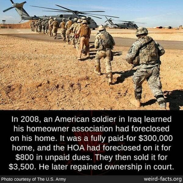 weird facts, random facts, fact of the day, random oddities, bizarre trivia, peculiar tidbits, unusual anecdotes