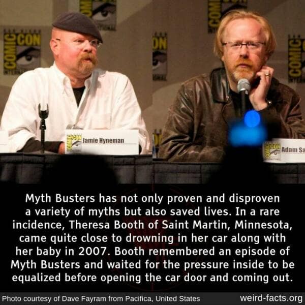 weird facts, random facts, fact of the day, random oddities, bizarre trivia, peculiar tidbits, unusual anecdotes