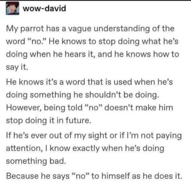 wholesome memes, heartwarming memes, uplifting memes, Feel-good memes, Positive memes, kindness memes