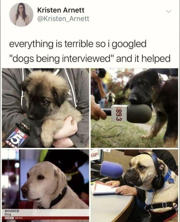 wholesome memes, heartwarming memes, uplifting memes, Feel-good memes, Positive memes, kindness memes