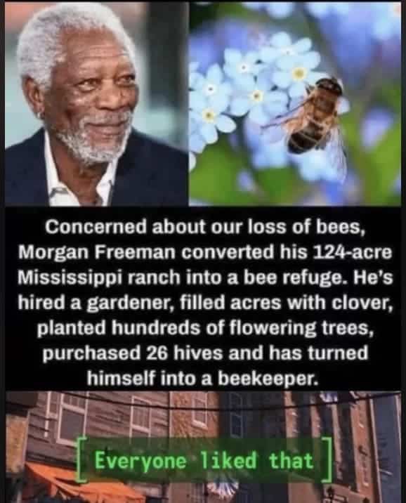 wholesome memes, heartwarming memes, uplifting memes, Feel-good memes, Positive memes, kindness memes