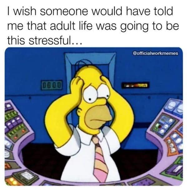 work memes, office humor, orporate sarcasm, workplace jokes, job-related memes, desk humor, career comedy