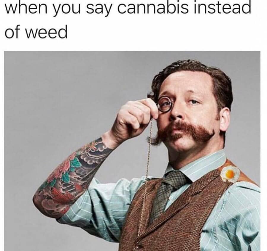 420 memes, weed memes, stoner memes, Cannabis Memes, Funny Stoner Content, Hilarious Stoner Stuff, Amusing Dope Culture, Pot Jokes, Cannabis Comedy