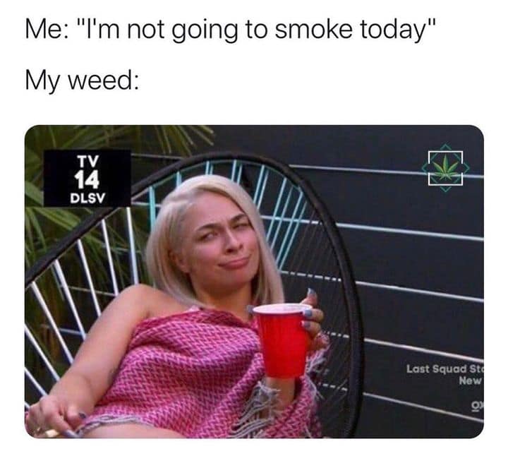 420 memes, weed memes, stoner memes, Cannabis Memes, Funny Stoner Content, Hilarious Stoner Stuff, Amusing Dope Culture, Pot Jokes, Cannabis Comedy