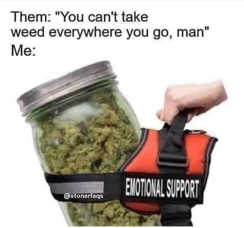 420 memes, weed memes, stoner memes, Cannabis Memes, Funny Stoner Content, Hilarious Stoner Stuff, Amusing Dope Culture, Pot Jokes, Cannabis Comedy