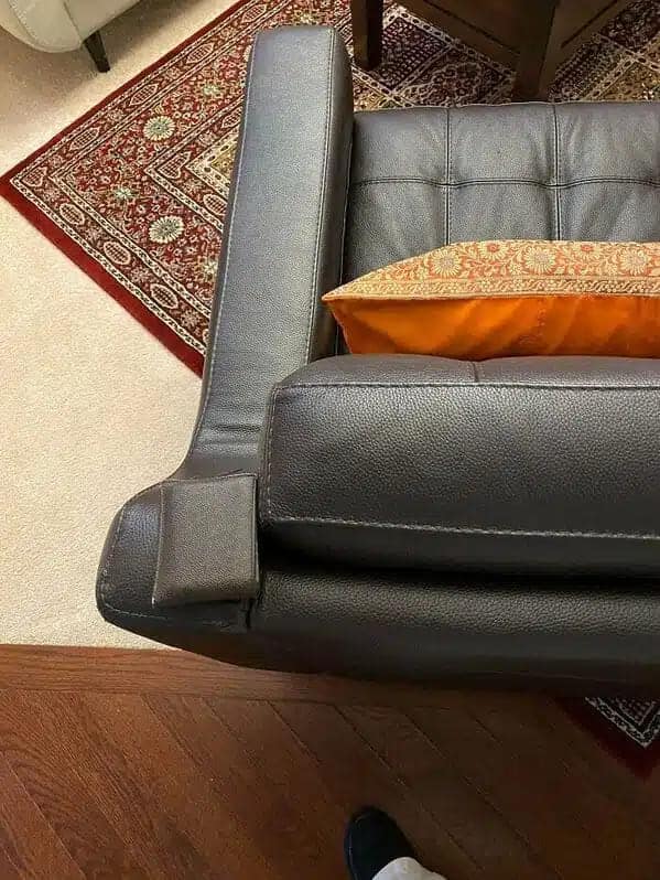 accidental camouflage, Camouflage fails, unintentional blending, hilarious disguise mistakes)