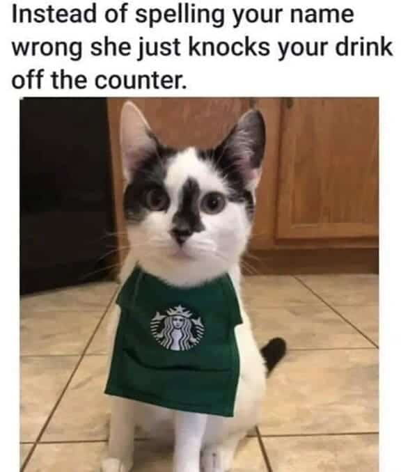 animal memes, pet memes, Funny Pet Memes, Hilarious pet pictures, Cute animal jokes, Funny animal compilations, Cute pet antics, dog memes, cat memes