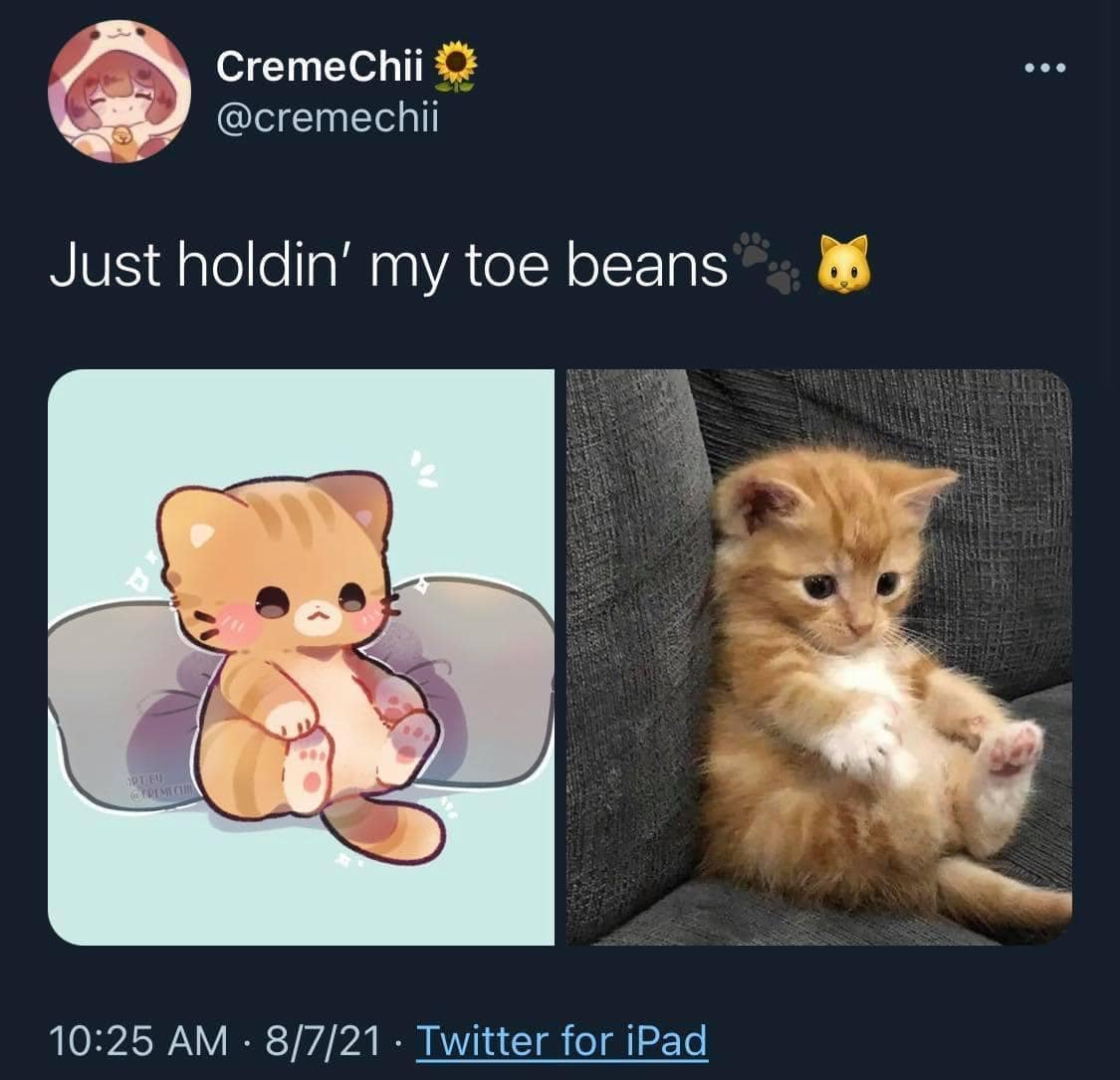 animal memes, funny animal memes, funny pet memes, humorous animal images, amusing animal jokes, comical creature memes, hilarious pet pics, chuckle-worthy animal humor