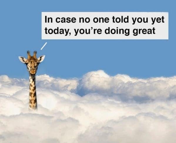 animal memes, pet memes, Funny Pet Memes, Hilarious pet pictures, Cute animal jokes, Funny animal compilations, Cute pet antics, dog memes, cat memes