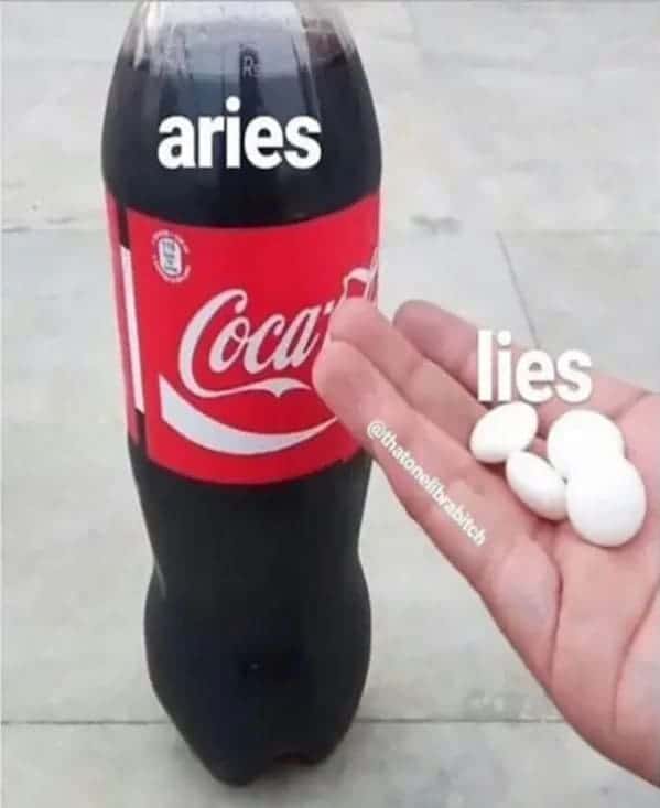 aries Cocai lies