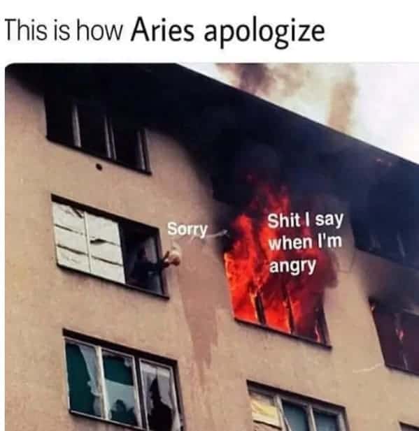 This is how Aries apologize Sorry. I say when I'm angry