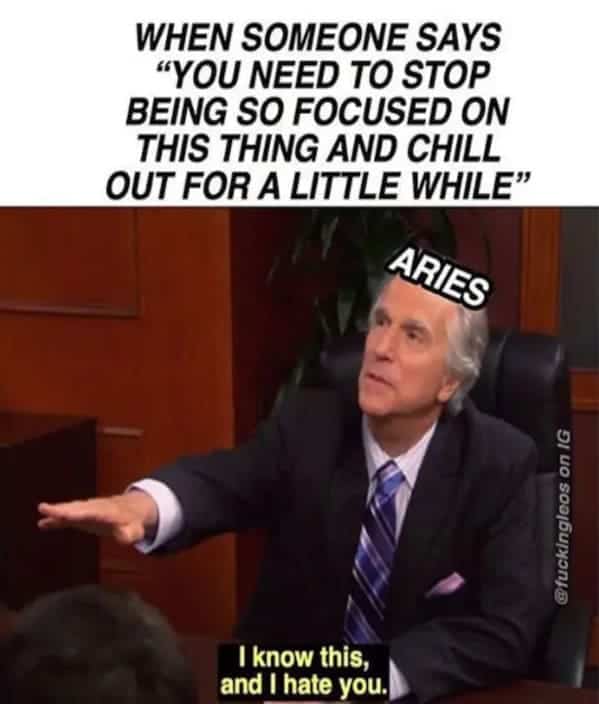 WHEN SOMEONE SAYS "YOU NEED TO STOP BEING SO FOCUSED ON THIS THING AND CHILL OUT FOR A LITTLE WHILE" ARIES @fuckingleos on IG I know this, and I hate you.