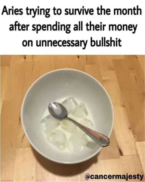 Aries trying to survive the month after spending all their money on unnecessary bull