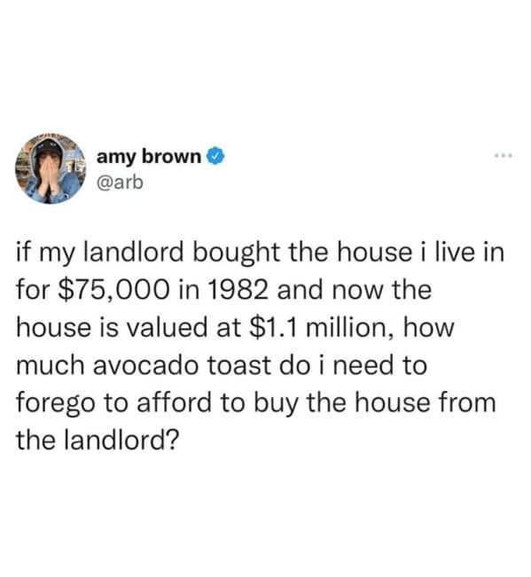 avocado memes, guacamole memes, Funny Avocado Jokes, Hilarious Avocado Puns, Avocado Humor