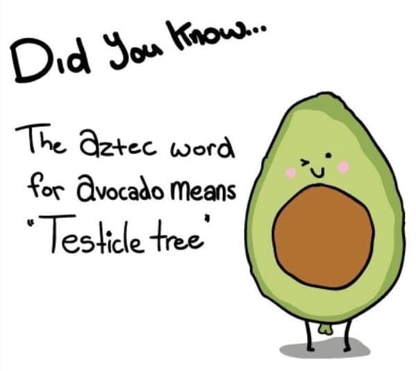 avocado memes, guacamole memes, Funny Avocado Jokes, Hilarious Avocado Puns, Avocado Humor