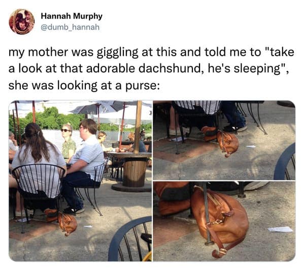 my mother was giggling at this and told me to "take a look at that adorable dachshund, he's sleeping", she was looking at a purse: