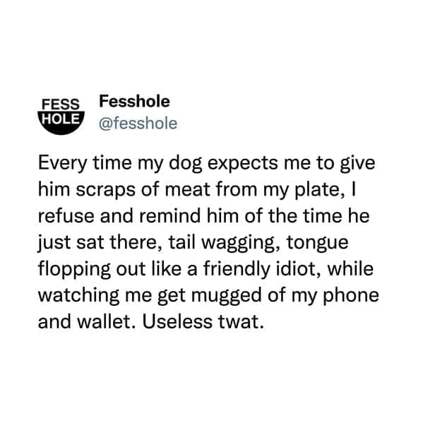 @fesshole Every time my dog expects me to give him scraps of meat from my plate, l refuse and remind him of the time he just sat there, tail wagging, tongue flopping out like a friendly idiot, while watching me get mugged of my phone and wallet.