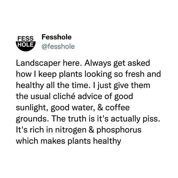 Landscaper here. Always get asked how I keep plants looking so fresh and healthy all the time. I just give them the usual cliché advice of good sunlight, good water, & coffee grounds. The truth is it's actually. It's rich in nitrogen & phosphorus which makes plants healthy